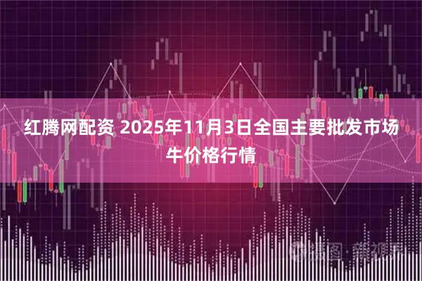 红腾网配资 2025年11月3日全国主要批发市场牛价格行情