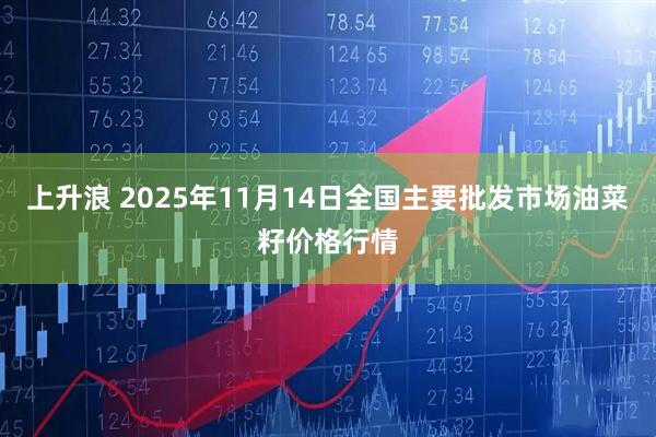 上升浪 2025年11月14日全国主要批发市场油菜籽价格行情