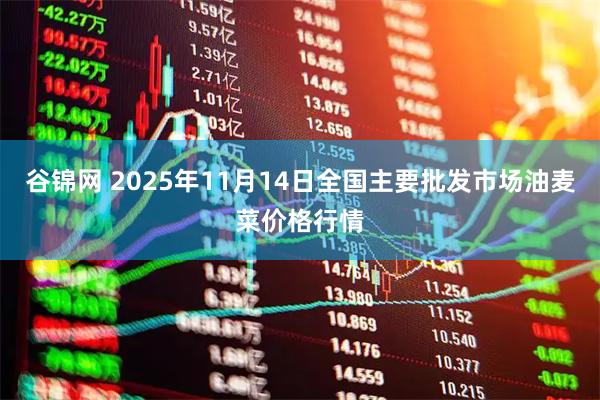 谷锦网 2025年11月14日全国主要批发市场油麦菜价格行情